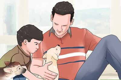 How to Socialize a New Dog with Your Family