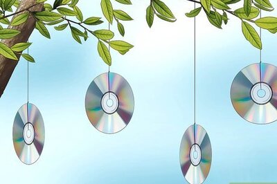 How to Keep Birds Out of Trees