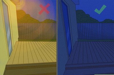 The Best Ways to Get Rid of Frogs in Your Pool