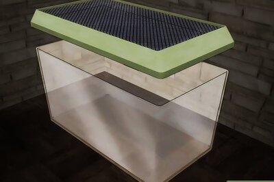 How to Care for Live Crickets for Reptiles