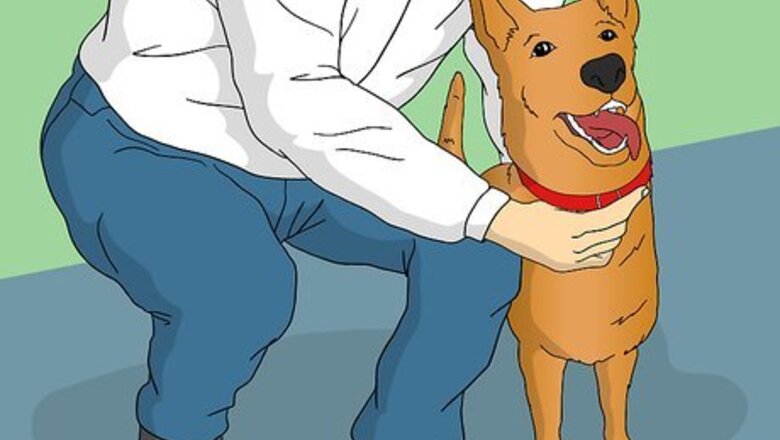 How to Train Your Dog to Shake Its Head