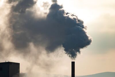 Scoring Climate Goals: WEF Unveils Alliance of Indian CEOs in Quest for 'Net-zero'