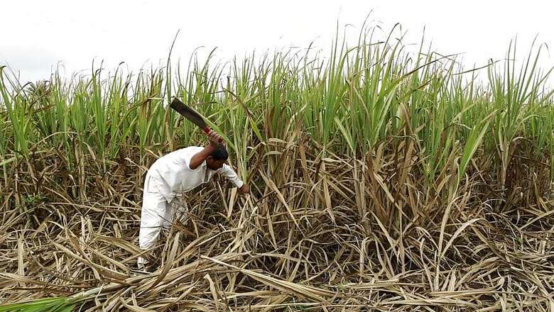 Farmers Unimpressed, Say Adityanath's Loan Waiver 'Nothing But a Lolipop'