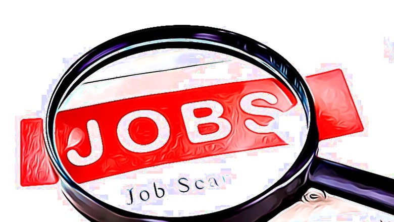 India's White Collar Hiring Declines By 8.6%, IT Sector Lags Behind: Report