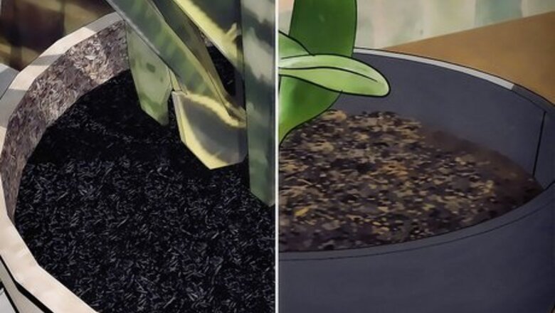 How to Choose Plant Soil