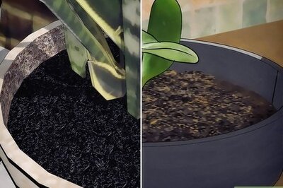 How to Choose Plant Soil