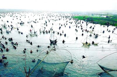 ​Assam Chases Big Fish as Covid-19 & Bird Flu Fears Fail to Dampen Uruka and Bihu Festivities