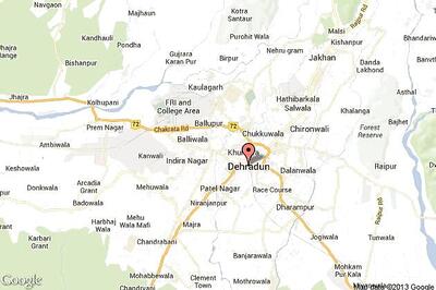 5-year-old elephant dies in Rajaji National Park