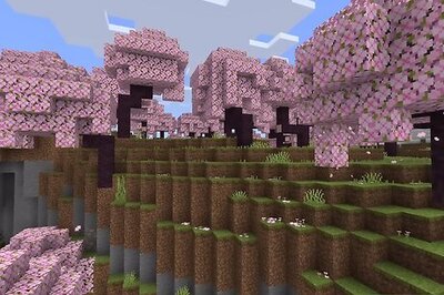 Where to Find a Cherry Grove Blossom Biome in Minecraft