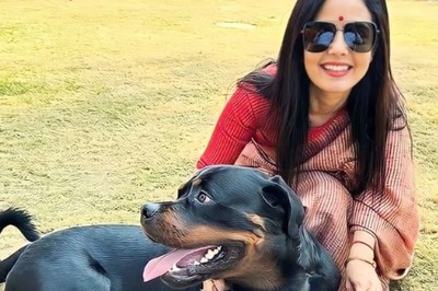 In Bitter Custody Battle With 'Jilted Ex' for Beloved Rottweiler Henry, Will Mahua Moitra Let Sleeping Dogs Lie?