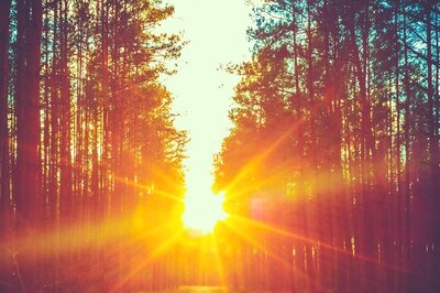 Aaj Ka Panchang, 19 May, 2024: Tithi, Vrat, and Today’s Shubh, Ashubh Muhurat