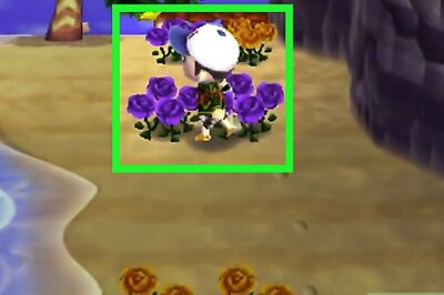 How to Get Blue Roses and Purple Pansies in Animal Crossing: New Leaf