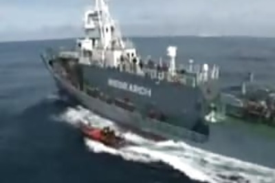 Japanese whalers set to resume hunt