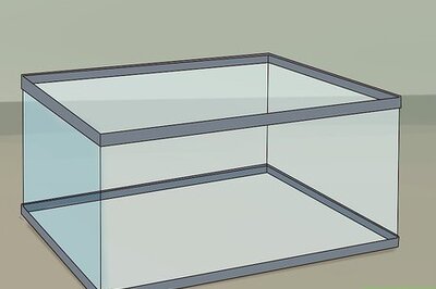 How to Care for a Kenyan Sand Boa