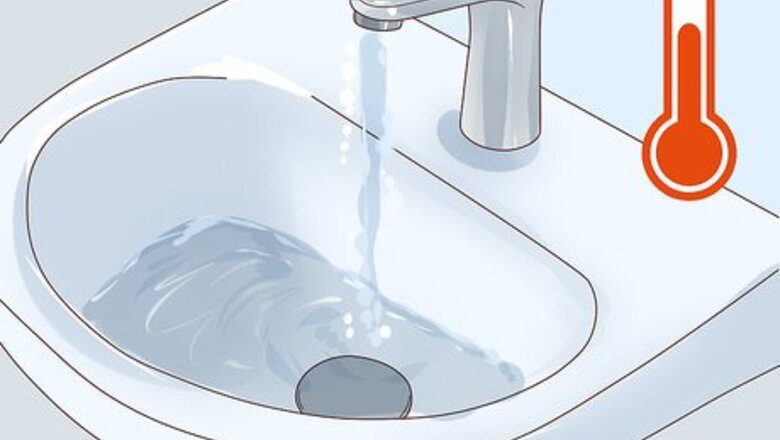 How to Show a Guinea Pig