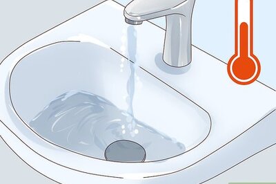 How to Show a Guinea Pig