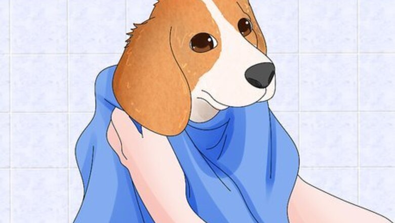 How to Dry a Dog