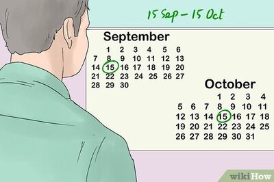 How to View Fall Foliage in California