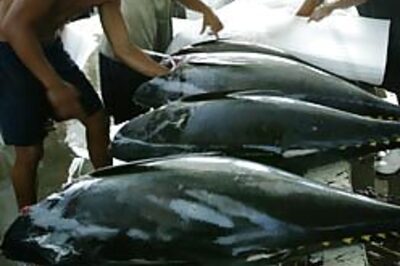 Omega-3 fatty acids may treat depression