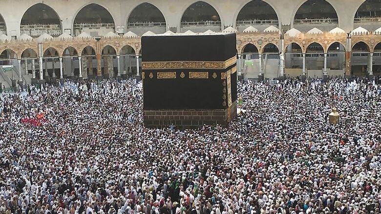 UP Govt Urges Hajj Pilgrims to Plant Sapling Before Embarking on Pilgrimage
