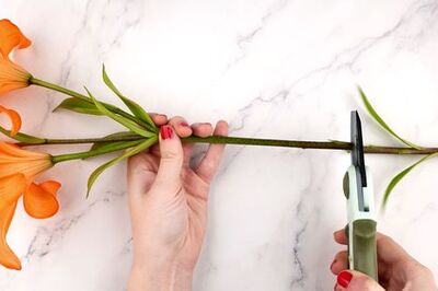 How to Arrange Flowers in a Square Vase