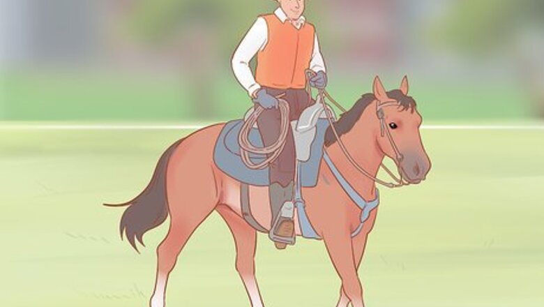 How to Choose a Riding Style or Equestrian Discipline