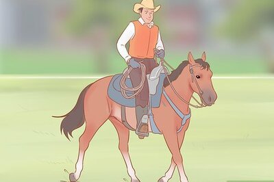 How to Choose a Riding Style or Equestrian Discipline