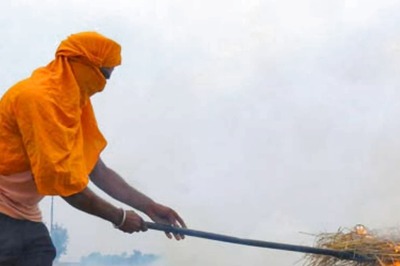 'Will Not End Pollution': CJI Chandrachud Refuses Urgent Hearing of PIL Seeking Ban on Stubble Burning