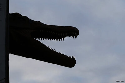 Indian-American scholar to explore dinosaur extinction