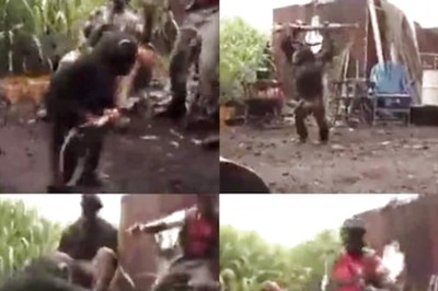 Watch: Humans Hand Automatic Rifle To Chimpanzee, He Opens Fire