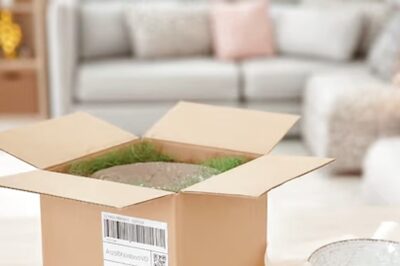 UK Company Finds Dead Poisonous Spider In Parcel From China