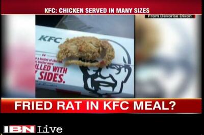 Lab report confirms it was chicken, not rat in meal: KFC