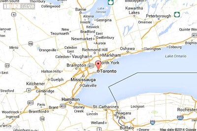 Peaches were domesticated in China, says study