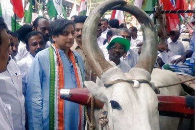 To Drive Home the Point of High Fuel Prices, Shashi Tharoor Takes a Bullock Cart Ride