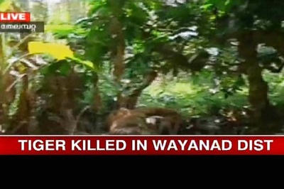 Kerala: Tiger shot dead for creating panic in villages