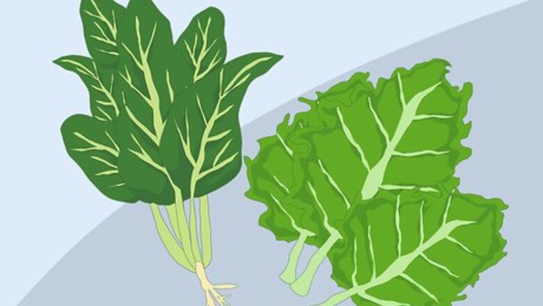How to Choose Non‐Meat Sources of Iron