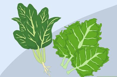 How to Choose Non‐Meat Sources of Iron