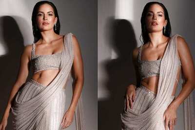 Natasa Stankovic Flaunts Her Curves in a Sensual Saree Amid Divorce From Hardik Pandya; Watch