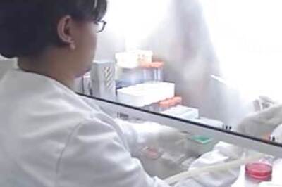 Indian student wins top US research honour