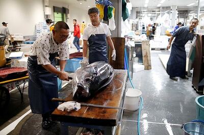 Fish Skin Cheaper, Less Painful in Treating Burns than Bandages: Scientist