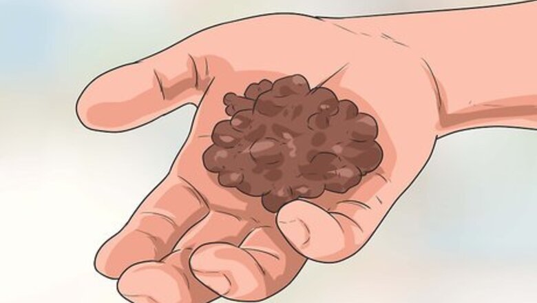 How to Train an Adult Dog