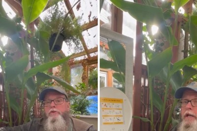 To Save Environment, Couple Converts Human Waste Into Cooking Fuel