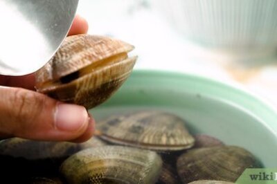 How to Boil Clams