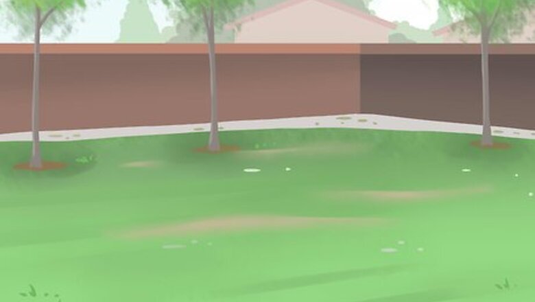 How to Set up a Garden Party