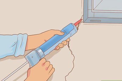 How to Prevent Wasps from Nesting