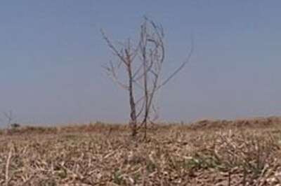 Assam declares 14 districts drought-hit