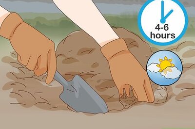 How to Get Peonies to Bloom