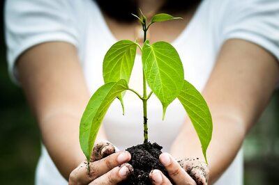 Conscious Consumerism: 5 Tips To Be A Conscious Purchaser and Consumer