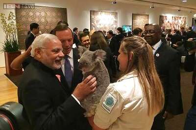 Modi charmed by Australian Koala bear at G20