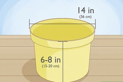 How to Plant Spinach in Pots